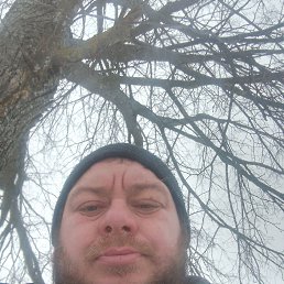 ������, 37 ���, ���������