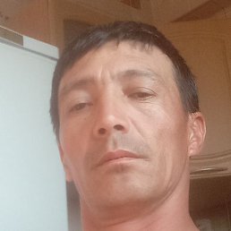 ������, ������, 40 ���