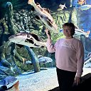 ���� ���������, ������ �������, 64 ���� - ��������� 14 ������� 2024