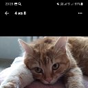 ���� �������, ���������� �����, 50 ��� - ��������� 26 ������� 2025 � ������ ������ ��������