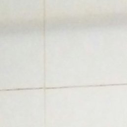 �����, ������, 54 ����