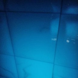 Raju, ������, 32 ����