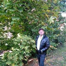 ����, ������, 65 ���