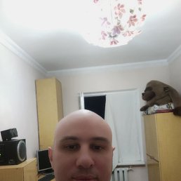 , 41, 