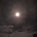  .,  -  8  2025    