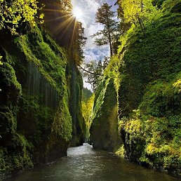 �, �����, 44 ����