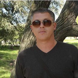 , 43 , 
