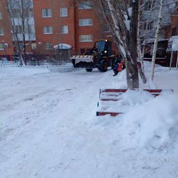 �����, ���������, 37 ���