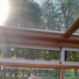 ���� ����, �������, 54 ���� - ��������� 20 ������� 2025