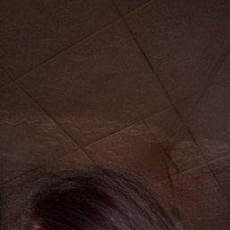 ����, ������, 50 ���