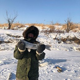 ���������, �����������, 60 ���