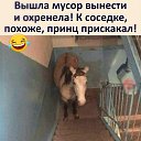 ���� ������, ������������� - ��������� 1 ������ 2023 � ������ ������ ��������