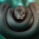 ���� ����, ������, 66 ��� - ��������� 16 ������ 2024 � ������ ���� ����������