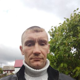 ���� �������, �����, 41 ��� - ��������� 18 ������ 2023