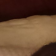 Stefani, 30 ���, ������