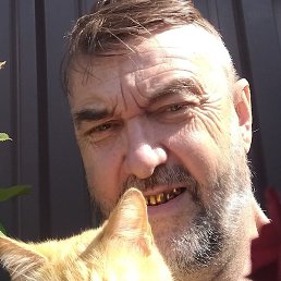 �����, ����, 62 ����