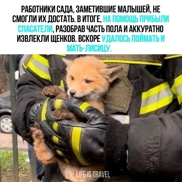 ������������ ����������� ������.� ����� ������ ������� ������������ ��������� �������, ��������� ... - 2