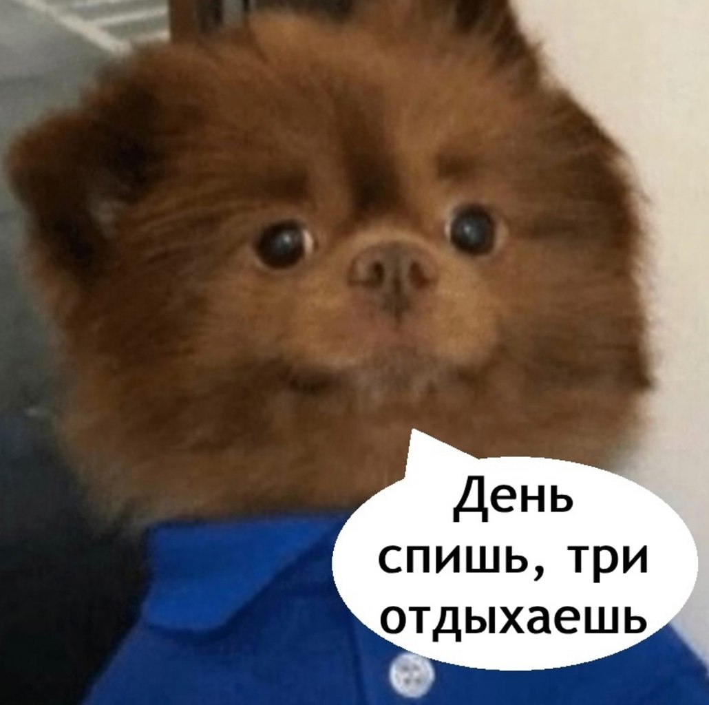 . - 4