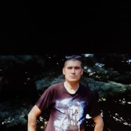 ������, 49 ���, ���������