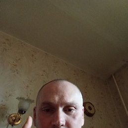 ����, 46 ���, ����