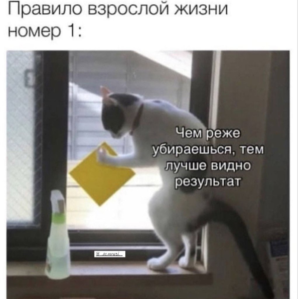   - 19  2024  15:27