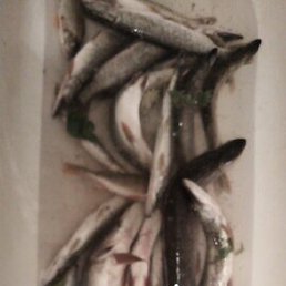 ����, ������������, 56 ���