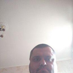 ����, 41 ���, �����-���������