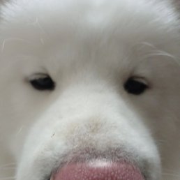 ����, ������, 28 ���