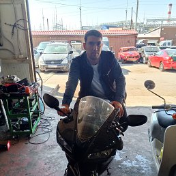 , 34, 