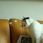 Ульяна, 21 год, Москва Ульяна, 21 год, Москва