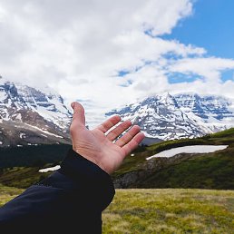 ������, ������, 50 ���