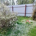 ���� ������, ������� �����, 70 ��� - ��������� 16 ��� 2025 � ������ ���� ����������