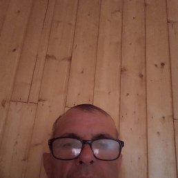 , 65, 