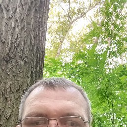 , 38, 