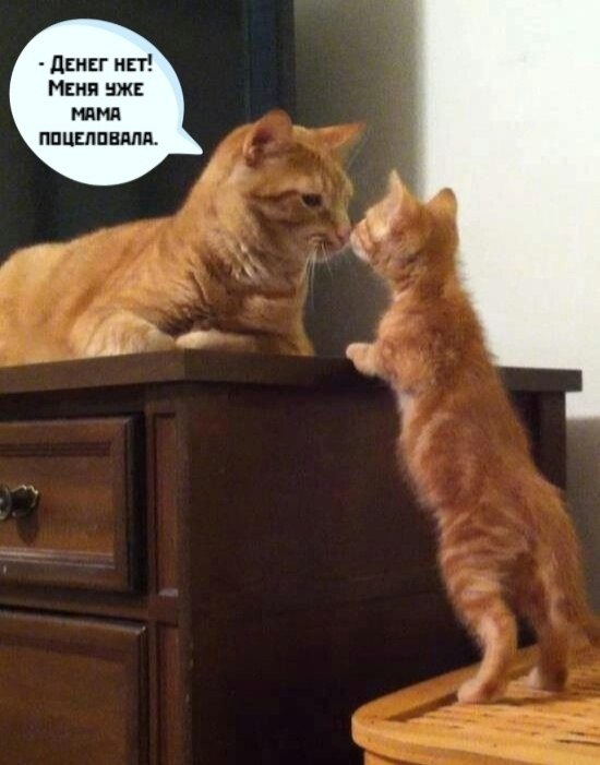       - 24  2025  20:08 - 2