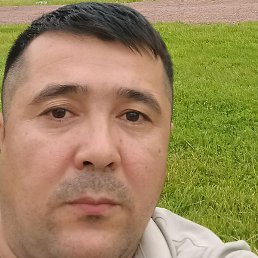 �����, �����-���������, 41 ���