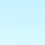 �����, 51 ���, ������