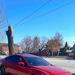 Sergey, �����-���������, 36 ���