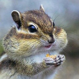 ������, ������ ��������, 29 ���