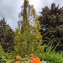 ���� �������, �����������, 56 ��� - ��������� 28 ��� 2025 � ������ ���� ����������