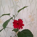 ���� �������., ��������� - ��������� 6 �������� 2025 � ������ ���� ���.�