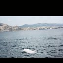 ���� ������, �����, 38 ��� - ��������� 16 ���� 2025 � ������ ���� ����������