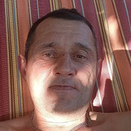 �������, ������, 43 ����