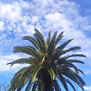  Ggg, , 59  -  1  2025   Barcelona