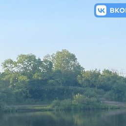 ������, �����������, 20 ���