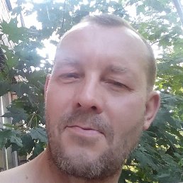 ������, ������, 51 ���