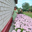 ���� ���������, �������, 65 ��� - ��������� 16 ������� 2025 � ������ ���� ����������