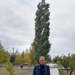 �����, �������, 61 ���