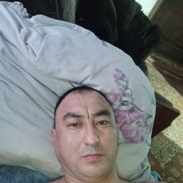 , 44, 