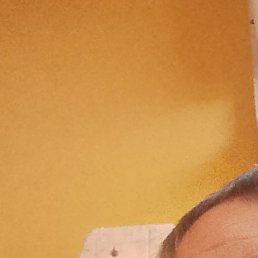 ��������, �����������, 53 ����